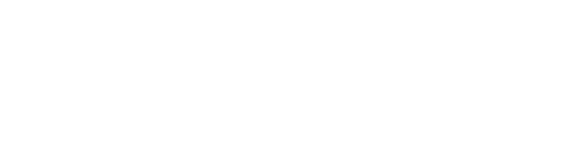 The Coney Express Logo